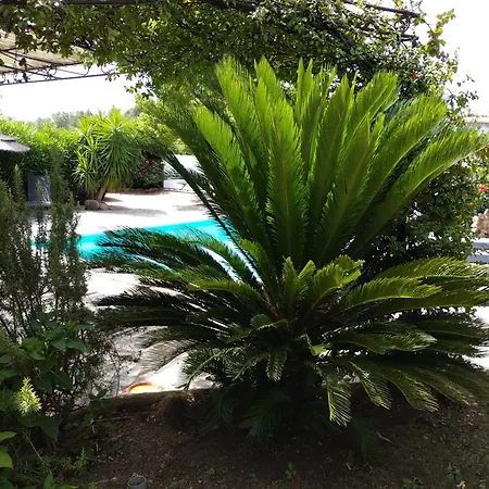 Muratello 6 Personnes 3 - Piscine - Climatisation - Wifi Villa *